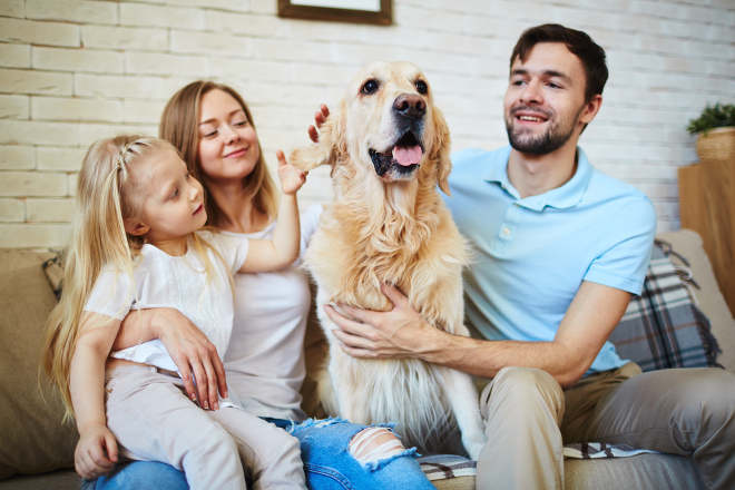 allergia al cane