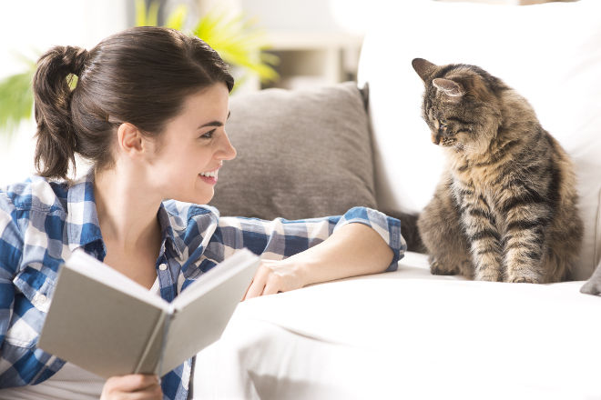 allergia al gatto