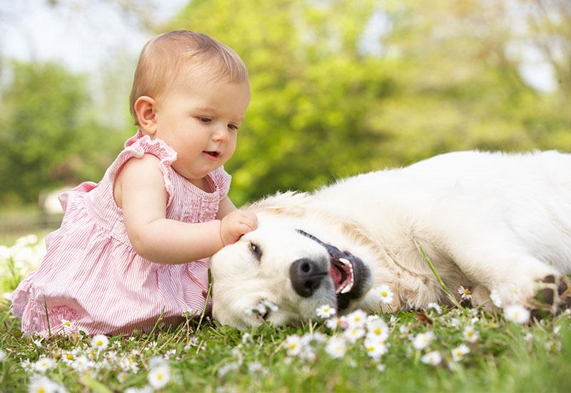 bimba con cane