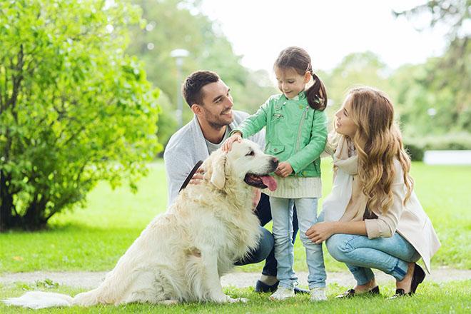 Sicurezza cani e bambini