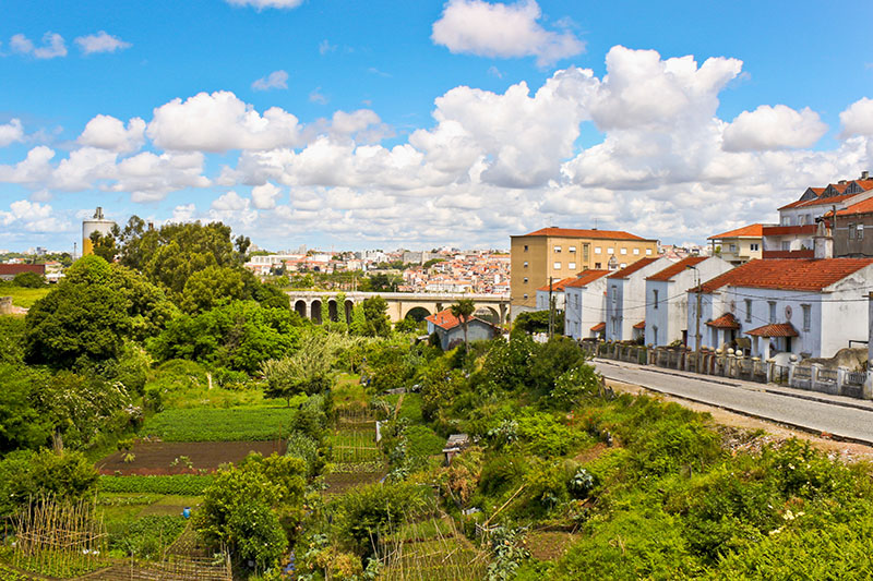 Orti urbani in città