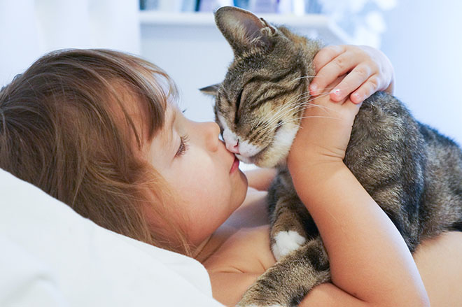 Bambina che abbraccia un gatto
