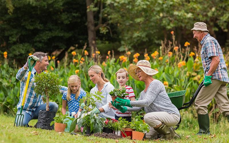 Famiglia al completo che fa giardinaggio